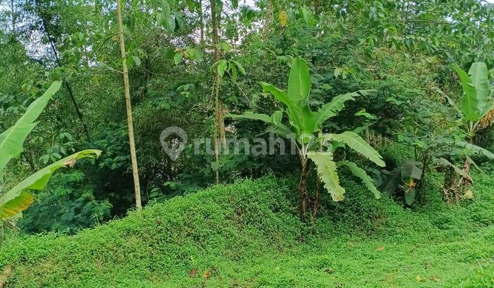 Dijual Tanah di Bojong Timur Purwakarta, Jawa Barat Dijual Tanah di Bojong Timur Purwakarta, Jawa Barat