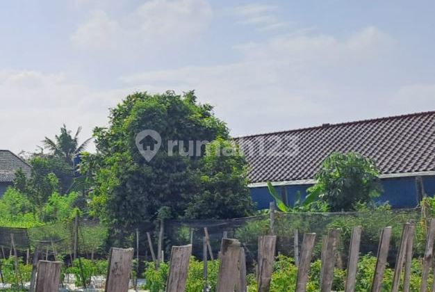 Land in Goodyear Complex, Ciomas, Bogor City