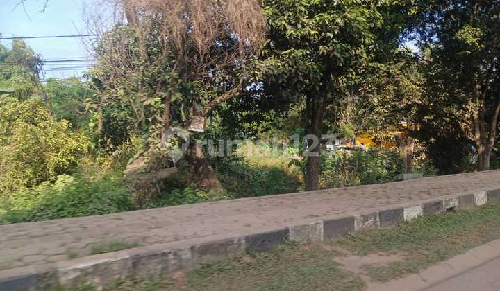 Land 8.5ha Strategic Location On Main Road Near UIN Raden Fatah Land 8.5ha Strategic Location On Main Road Near UIN Raden Fatah