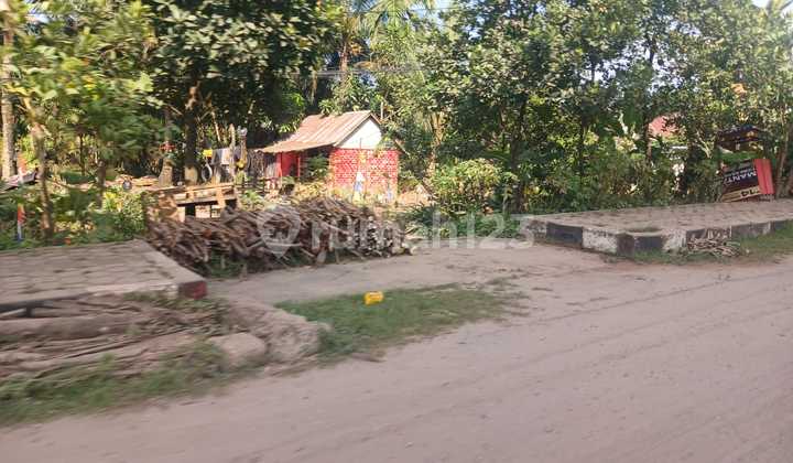 Land 8.5ha Strategic Location On Main Road Near UIN Raden Fatah Land 8.5ha Strategic Location On Main Road Near UIN Raden Fatah