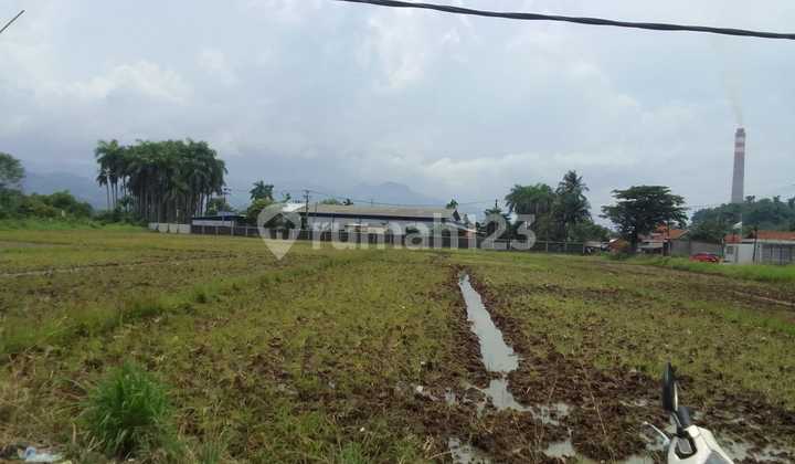 Land in Sukabumi, suitable for housing, factories, warehouses, shop houses.