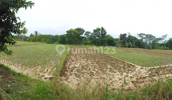 Land by the roadside, in Sukabumi, suitable for factories, warehouses, shop houses.
