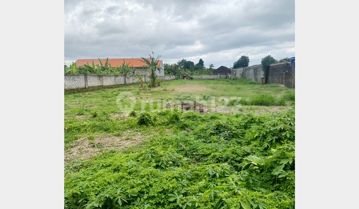 Land For Sale!! Tanah Kavling Harga Ekonomis di Jl. Kenyeri Denpasar