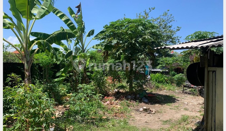 Land For Sale!!! siap bangun di Gunung Agung, Denpasar Utara Land For Sale!!! siap bangun di Gunung Agung, Denpasar Utara