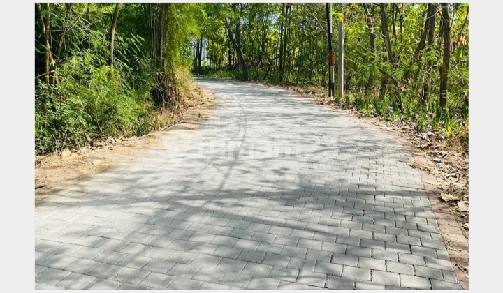 Land For Sale!!! Tanah kavling siap bangun di Jimbaran, Badung Land For Sale!!! Tanah kavling siap bangun di Jimbaran, Badung