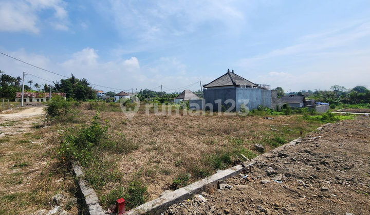 Dijual tanah kavling murah meriah di Pering, Gianyar, dekat Sanur dan Denpasar Dijual tanah kavling murah meriah di Pering, Gianyar, dekat Sanur dan Denpasar
