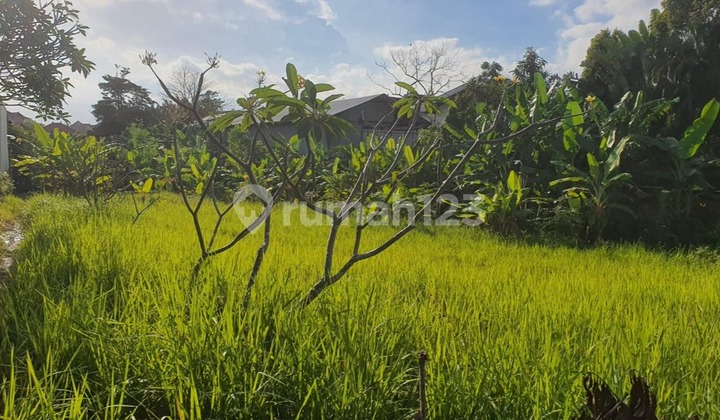 Land For Lease!!!  Leasehold land ready to build in Canggu, close to Atlas Beach Club and other tourist attractions