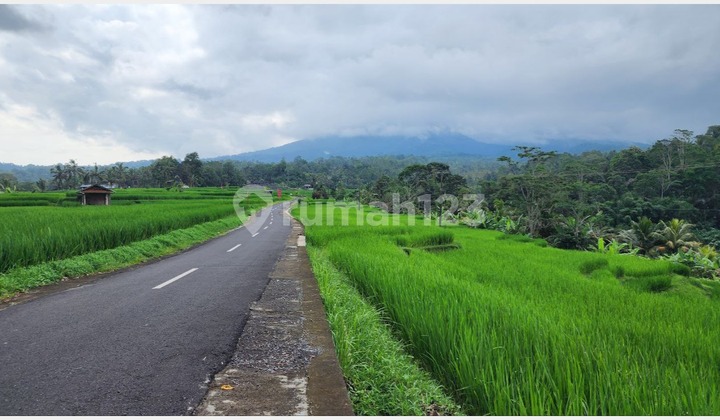 Tanah Kavling eksklusif cocok untuk investasi jangka panjang di Penebel, Tabanan 