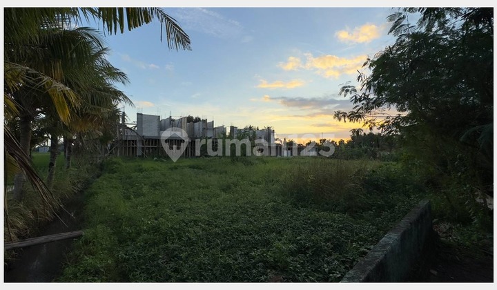 Land For Sale !!  Tanah Ekslusive Harga Ekonomis View Sawah di Jalan Pantai Kedungu, Kediri, Tabanan