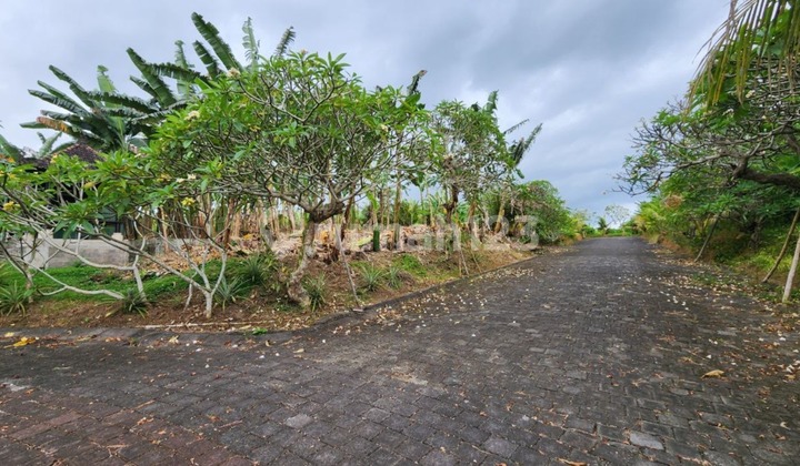 Dijual Tanah Kavling Ekslusive Harga Ekonomis Di Siyut Gianyar Dijual Tanah Kavling Ekslusive Harga Ekonomis Di Siyut Gianyar