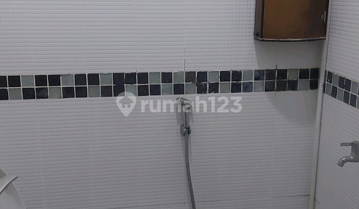 jambangan palm spring 2