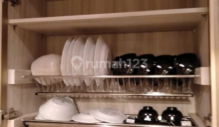 kejawaan putih Tamba, mulyorejo surabaya 2