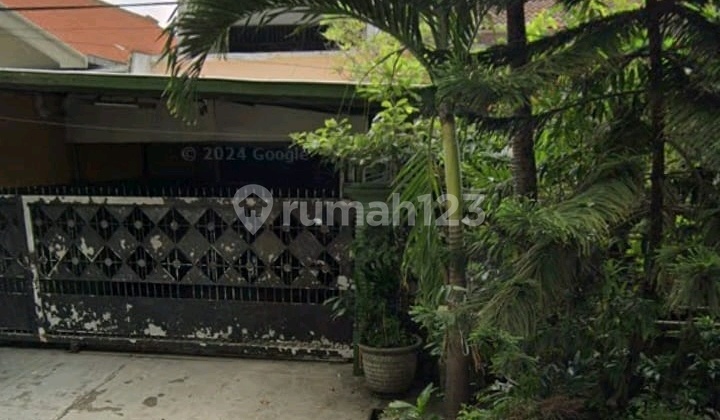 Jual Rumah Cocok Untuk Kost, dekat UBAYA Universitas Petra Jual Rumah Cocok Untuk Kost, dekat UBAYA Universitas Petra
