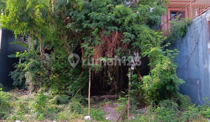 Jl. Klampis Semolo Tengah II No. 11 Jl. Klampis Semolo Tengah II No. 11