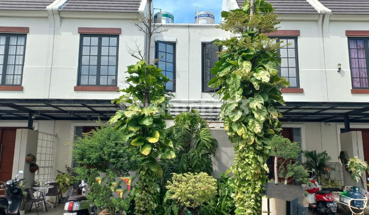 Rumah Minimalis Siap Huni Rumah Minimalis Siap Huni