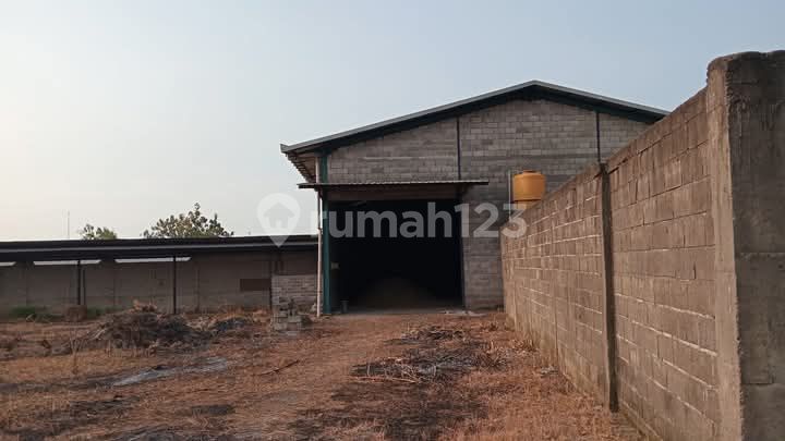 For Rent: Former Wood Factory and Steel Factory in Ngoro For Rent: Former Wood Factory and Steel Factory in Ngoro