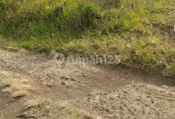 dijual tanah kebun apel,jeruk,sayur dibatu bumi aji