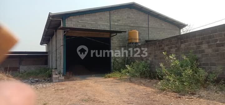 For Rent: Former Wood Factory and Steel Factory in Ngoro For Rent: Former Wood Factory and Steel Factory in Ngoro