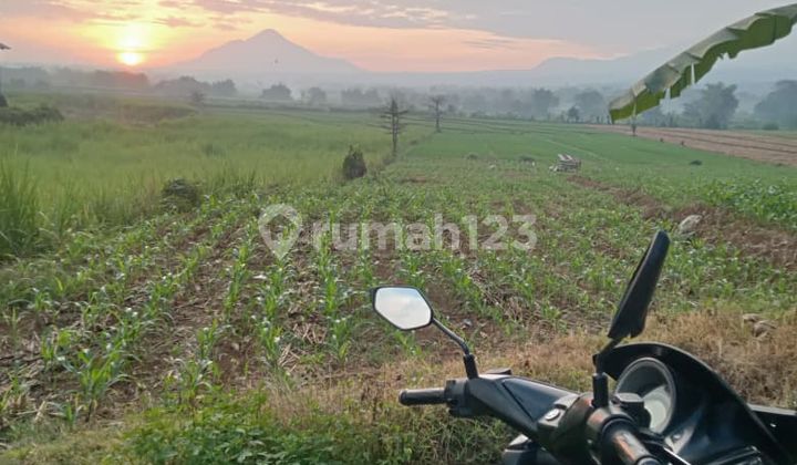 Dijual Tanah Atau Lahan Untuk Gudang, Peternakan, DLL Dijual Tanah Atau Lahan Untuk Gudang, Peternakan, DLL