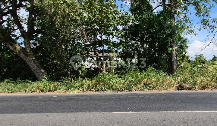 For sale 2 hectares of land in Gresik, selling 2 hectares of land in Gresik. For sale 2 hectares of land in Gresik, selling 2 hectares of land in Gresik.