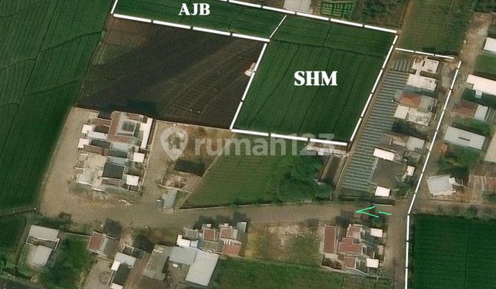 For Sale: Yellow Field Rice Land in Mojo Rejo