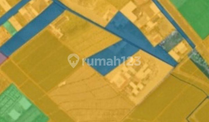 For Sale: Yellow Field Rice Land in Mojo Rejo