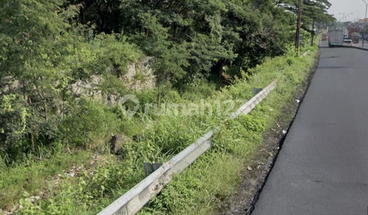 Dijual Tanah industri pasuruan 2,2 hektar 0 jl raya kabupaten Dijual Tanah industri pasuruan 2,2 hektar 0 jl raya kabupaten