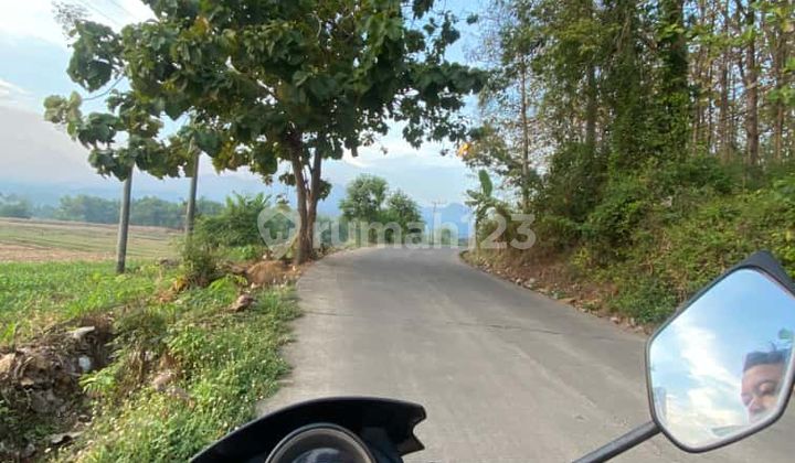 Dijual Tanah Atau Lahan Untuk Gudang, Peternakan, DLL Dijual Tanah Atau Lahan Untuk Gudang, Peternakan, DLL