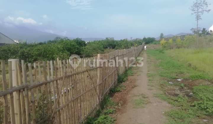Dijual Tanah Darat Atau Kebun Bebas Banjir Dijual Tanah Darat Atau Kebun Bebas Banjir