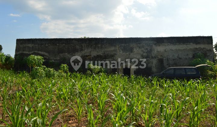 Investasi Menguntungkan! Tanah Luas di Tuban, Jawa Timur Investasi Menguntungkan! Tanah Luas di Tuban, Jawa Timur