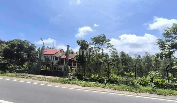 Dijual Rumah Singgah Dan Lahan Di Nongkojajar 1