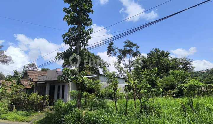 Dijual Lahan Tanah Datar Di Nongkojajar Dijual Lahan Tanah Datar Di Nongkojajar