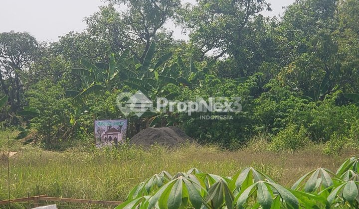 Dijual Tanah untuk Usaha Nol Jalantoll Gresik Dijual Tanah untuk Usaha Nol Jalantoll Gresik