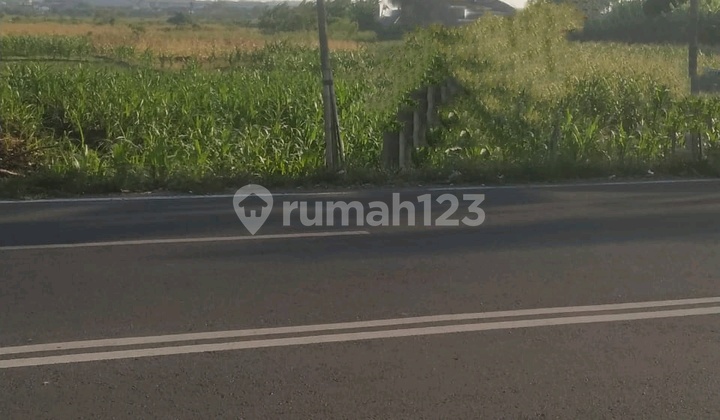 DIJUAL TANAH 0 RAYA MENGANTI LUAS HAMPIR 2,000 M2 DIJUAL TANAH 0 RAYA MENGANTI LUAS HAMPIR 2,000 M2