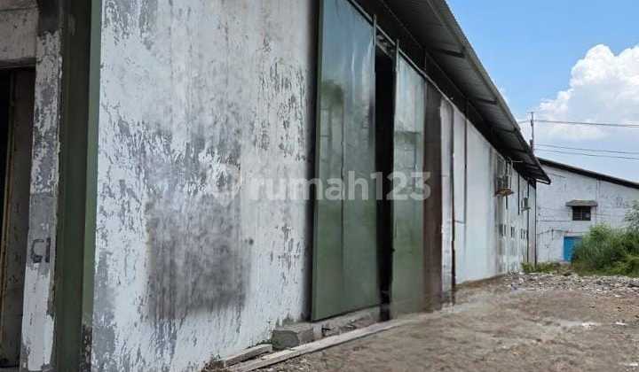 Dijual Murah Gudang Sidoarjo Siap Pakai 0 Jalan Raya Dijual Murah Gudang Sidoarjo Siap Pakai 0 Jalan Raya