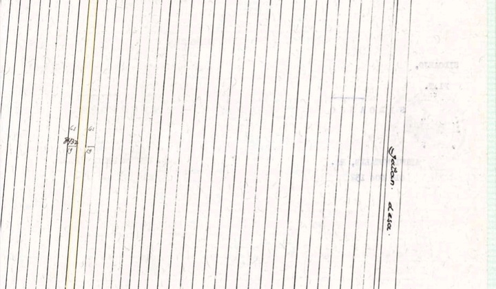 Dijual Tanah 0 Raya Sarirogo Sidoarjo Luas 4,000 M2 Zona Perdagangan Dijual Tanah 0 Raya Sarirogo Sidoarjo Luas 4,000 M2 Zona Perdagangan