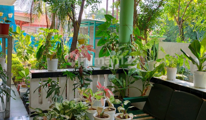 FOR SALE QUICK HOUSE IN JEMURSARI SURABAYA SUITABLE FOR RENTAL BUSINESS 2