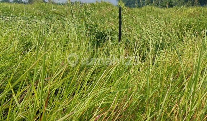 DIJUAL CEPAT KAVLING HOOK UJUNG BOULEVARD GREENLAND MENGANTI DIJUAL CEPAT KAVLING HOOK UJUNG BOULEVARD GREENLAND MENGANTI