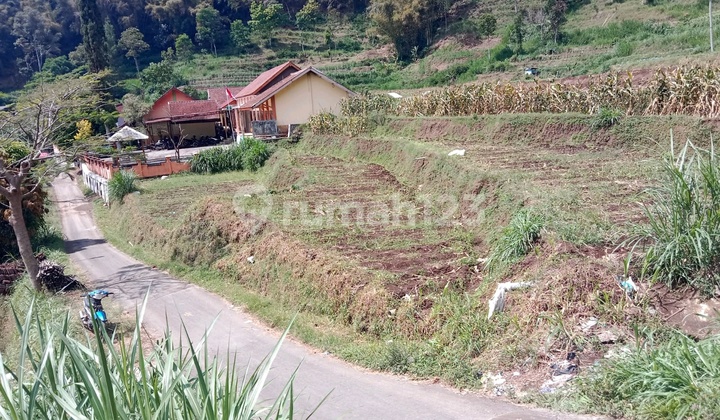 Land in Brau Hamlet, Gunungsari, Bumiaji, Batu Land in Brau Hamlet, Gunungsari, Bumiaji, Batu