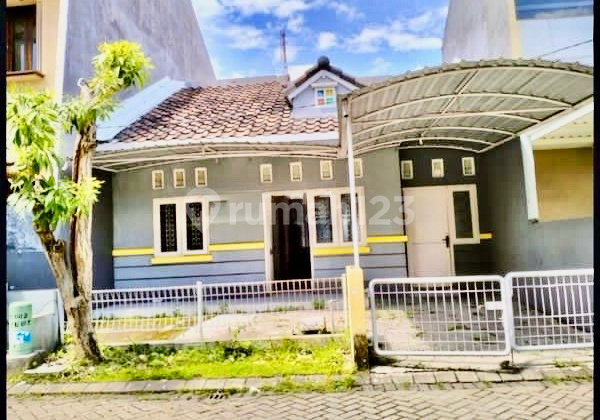 DIJUAL RUMAH BUKIT PALMA CITRALAND 1 LANTAI NEGO SAMPAI DEAL DIJUAL RUMAH BUKIT PALMA CITRALAND 1 LANTAI NEGO SAMPAI DEAL