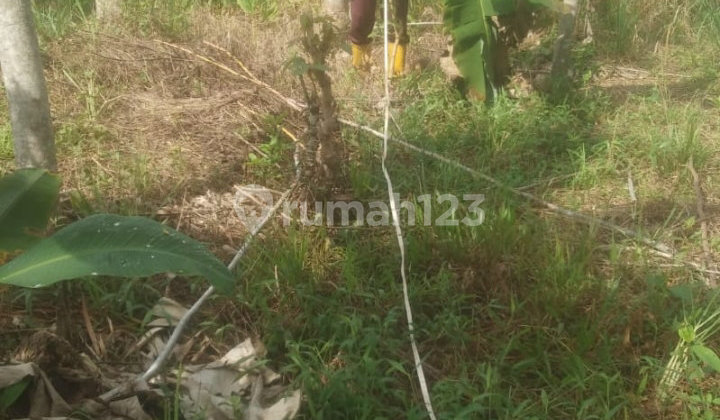 Tanah 25000m2 Di Depok Jawa Barat Indonesia Tanah 25000m2 Di Depok Jawa Barat Indonesia