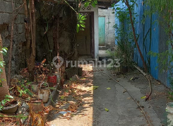 Pabrik Ex Limun dan Sarang Burung Walet di Cikampek Pabrik Ex Limun dan Sarang Burung Walet di Cikampek