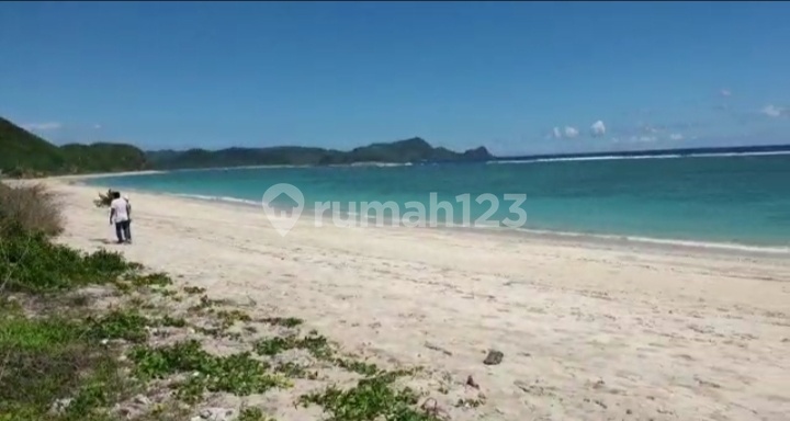 Di Jual Tanah 4 Ha Di Tampah Beach Lombok Tengah Ntb