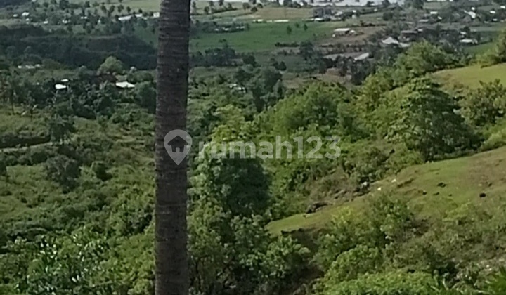 For Sale Land 15 Ares Full View Torok Aik Belek Central Lombok For Sale Land 15 Ares Full View Torok Aik Belek Central Lombok