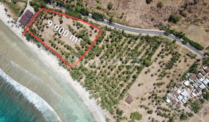 Di Jual Tanah Di Pandanan Beach Front Malaka Lombok Utara