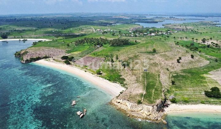 Di Jual Tanah 10,8 Ha Di Pantai Pink Lombok Timur Ntb Di Jual Tanah 10,8 Ha Di Pantai Pink Lombok Timur Ntb