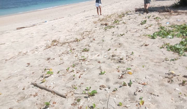 Di Jual Tanah Di Lancing Beach Front Lombok Tengah Ntb