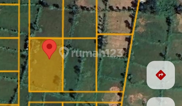 Di Jual Tanah 10 Are Di Lancing Lombok Tengah Ntb