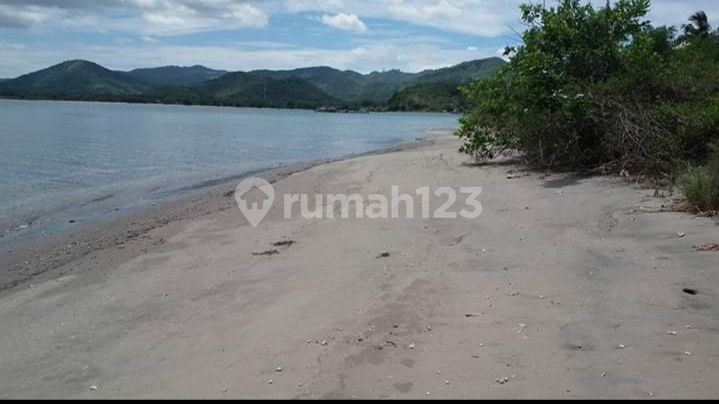 Di Jual Tanah Di Labuan Poh Sekotong Lombok Barat