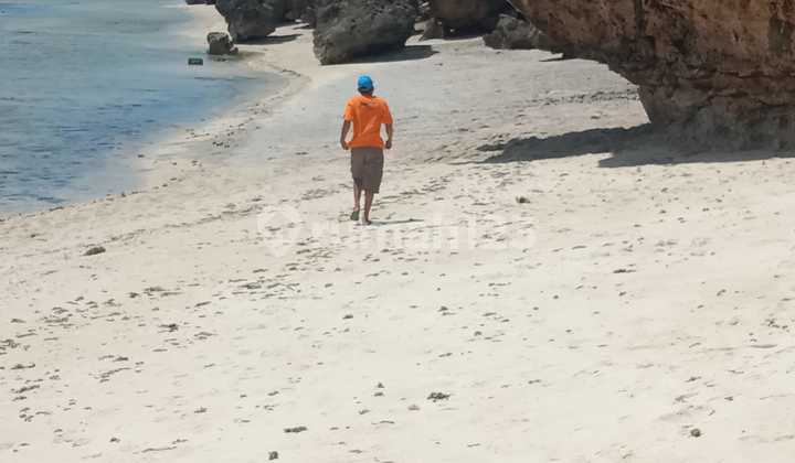 Tanah Buat Tambak Udang Di Labangka Sumbawa Ntb